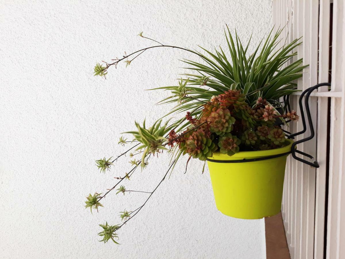 Mi Jardin Appartement Benalmádena Buitenkant foto